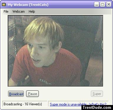 natural blonde highlights