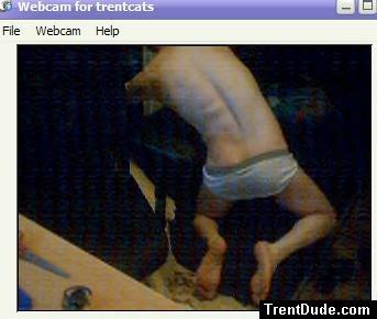 How low can they go?