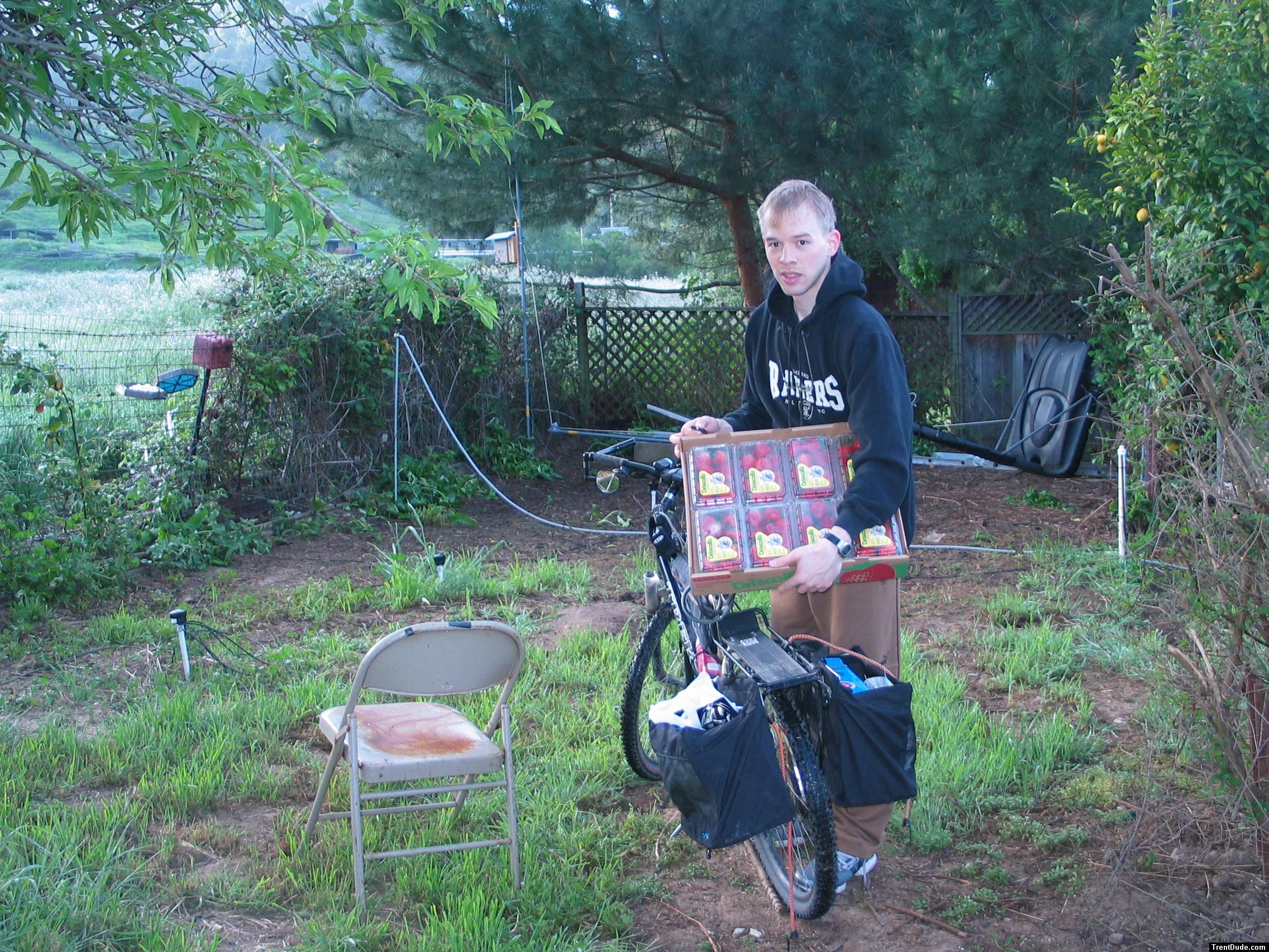 StrawBerries and bicycle