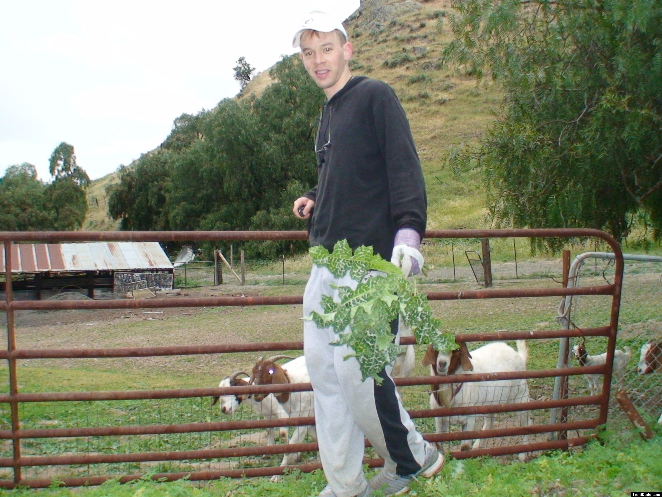 Trent with the goats