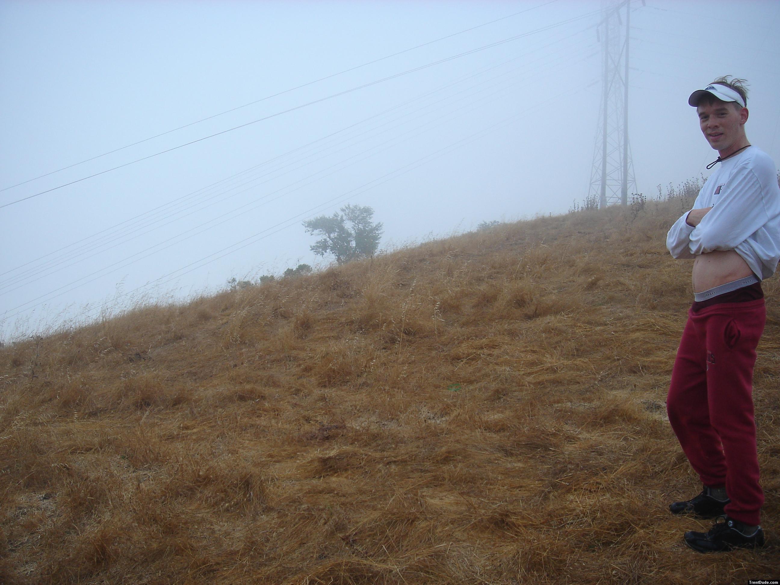 I think I will go climb the power lines and see what happens