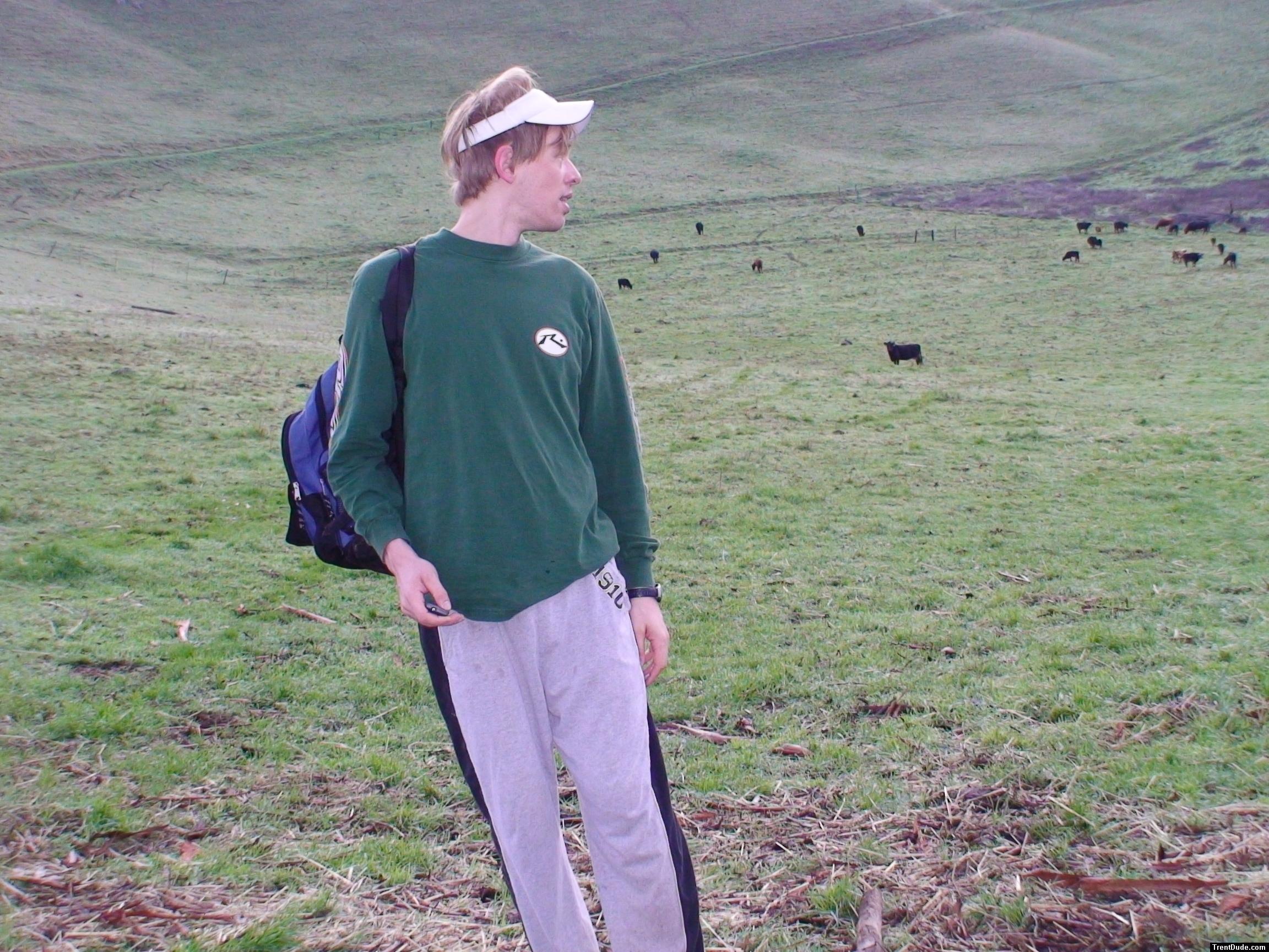 Counting the cows to make sure they're all there to watch