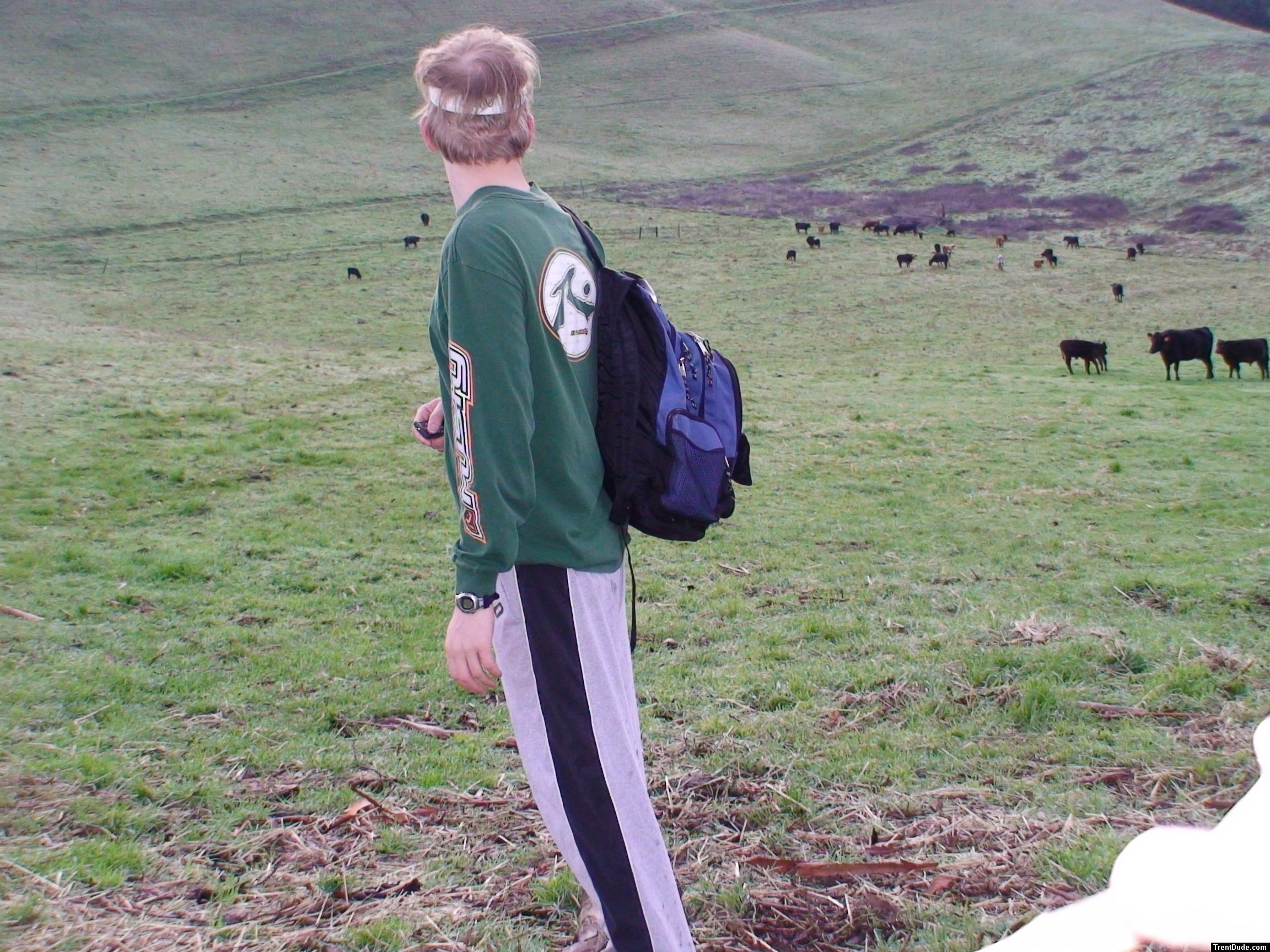 Now that the cows are fed, I can get some real work done!