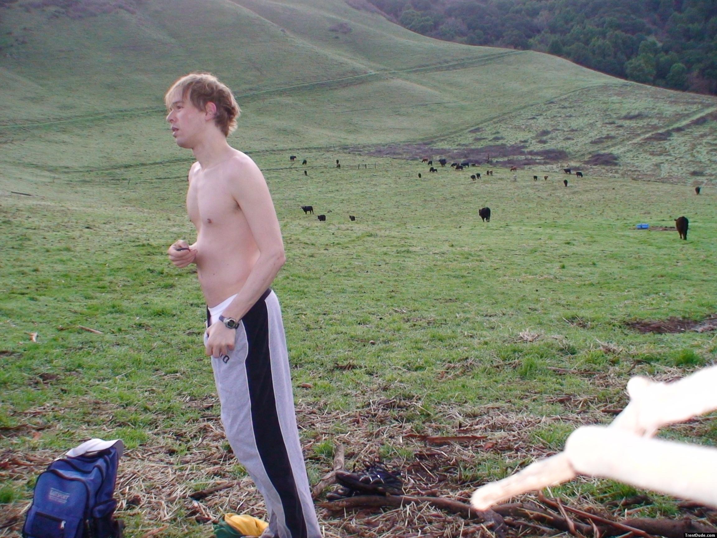 I'll just go ahead without the cows and get started