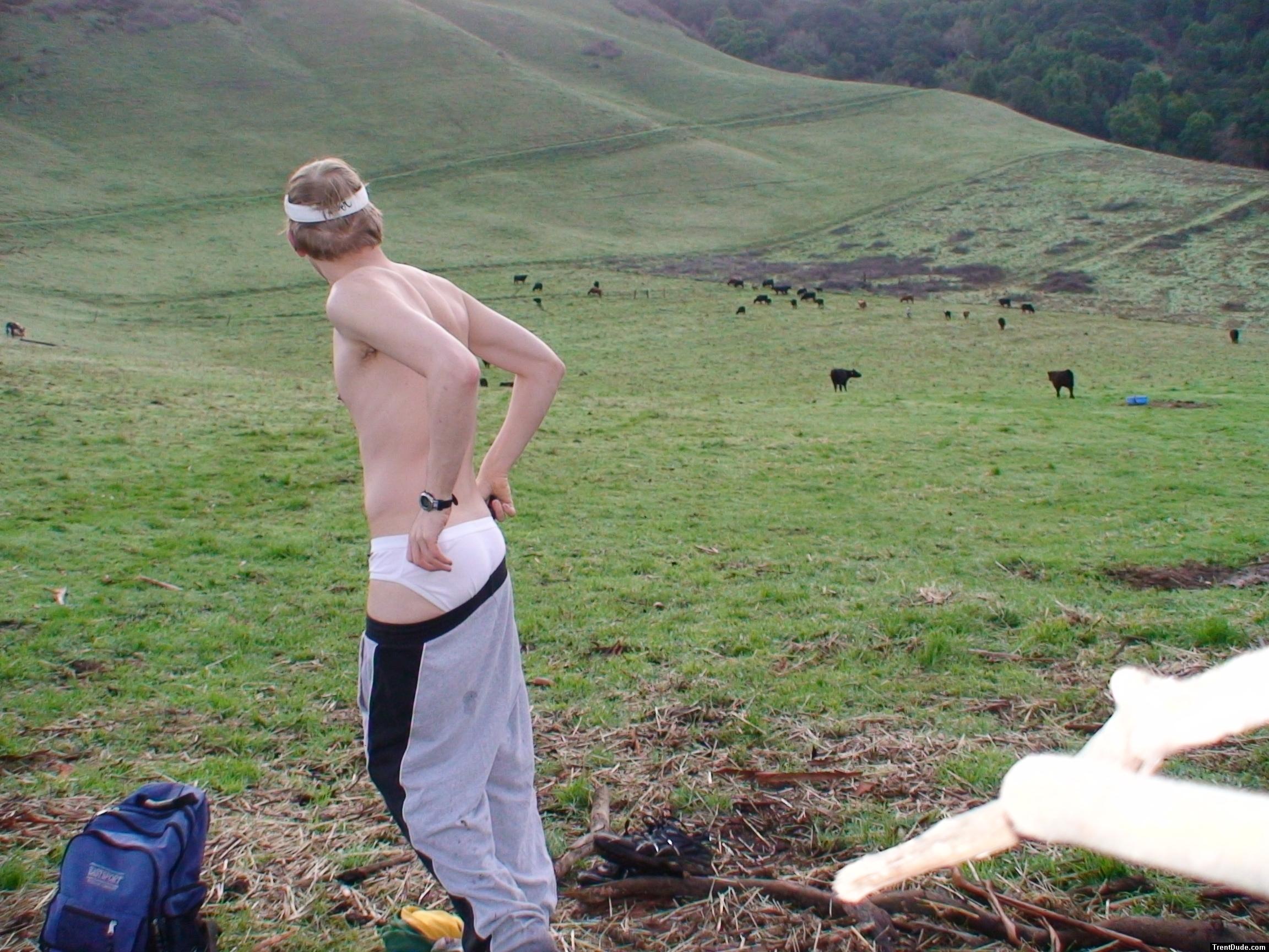 I guess cows don't find me interesting