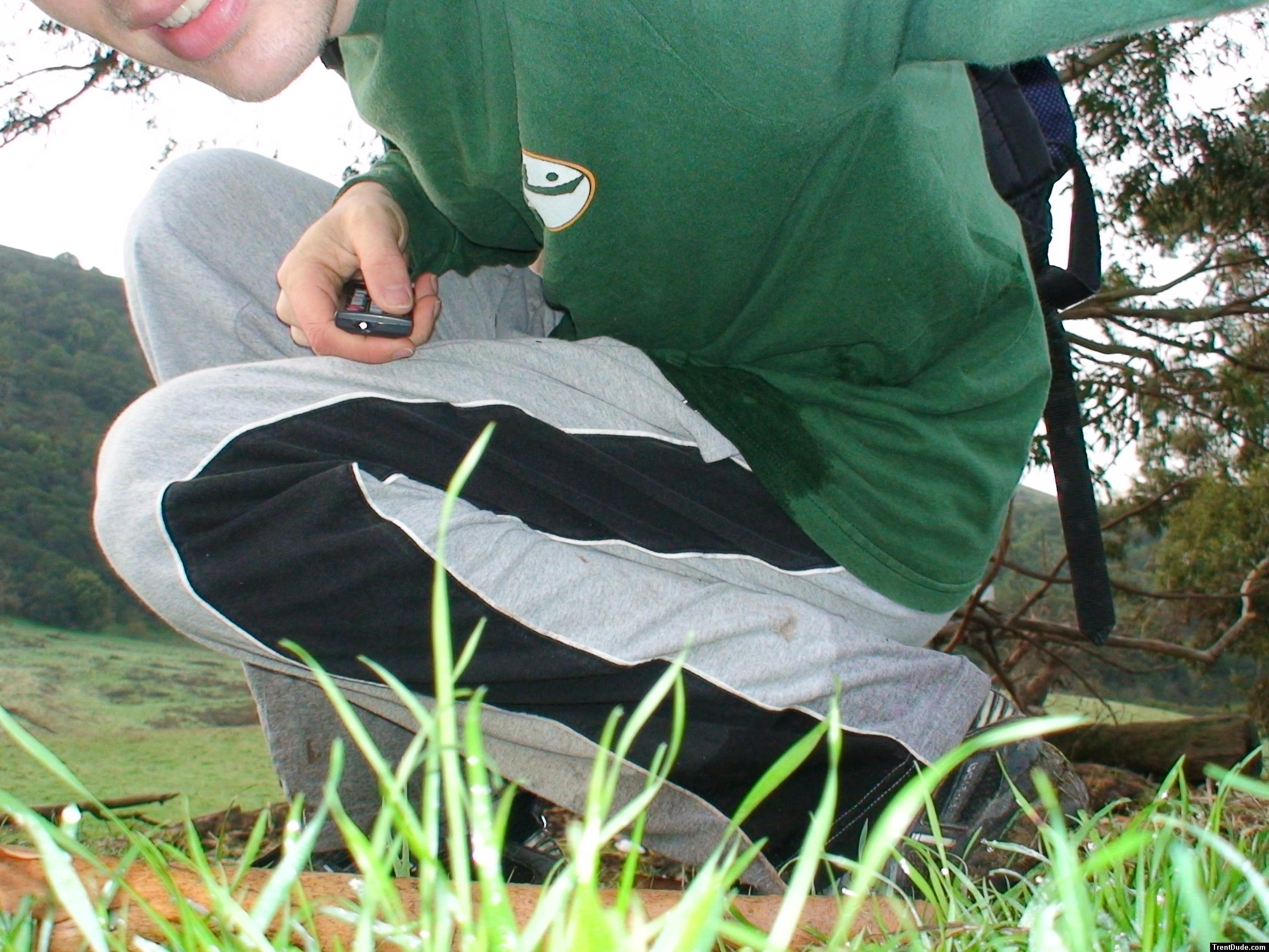 Close up in the cow field