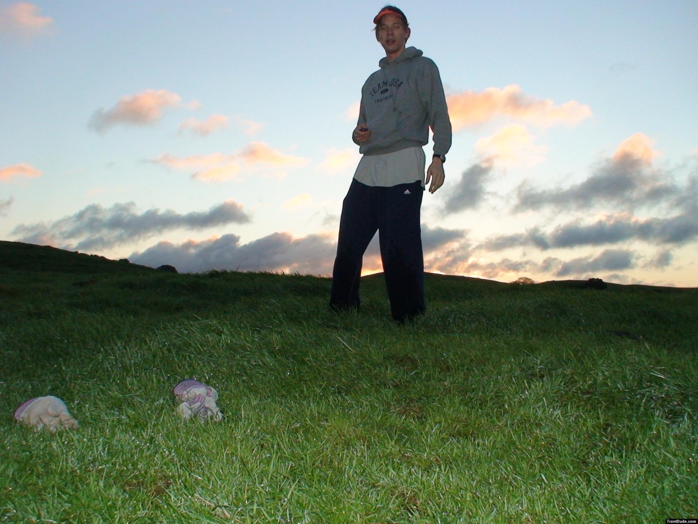 Trent in the grass and colorful sky