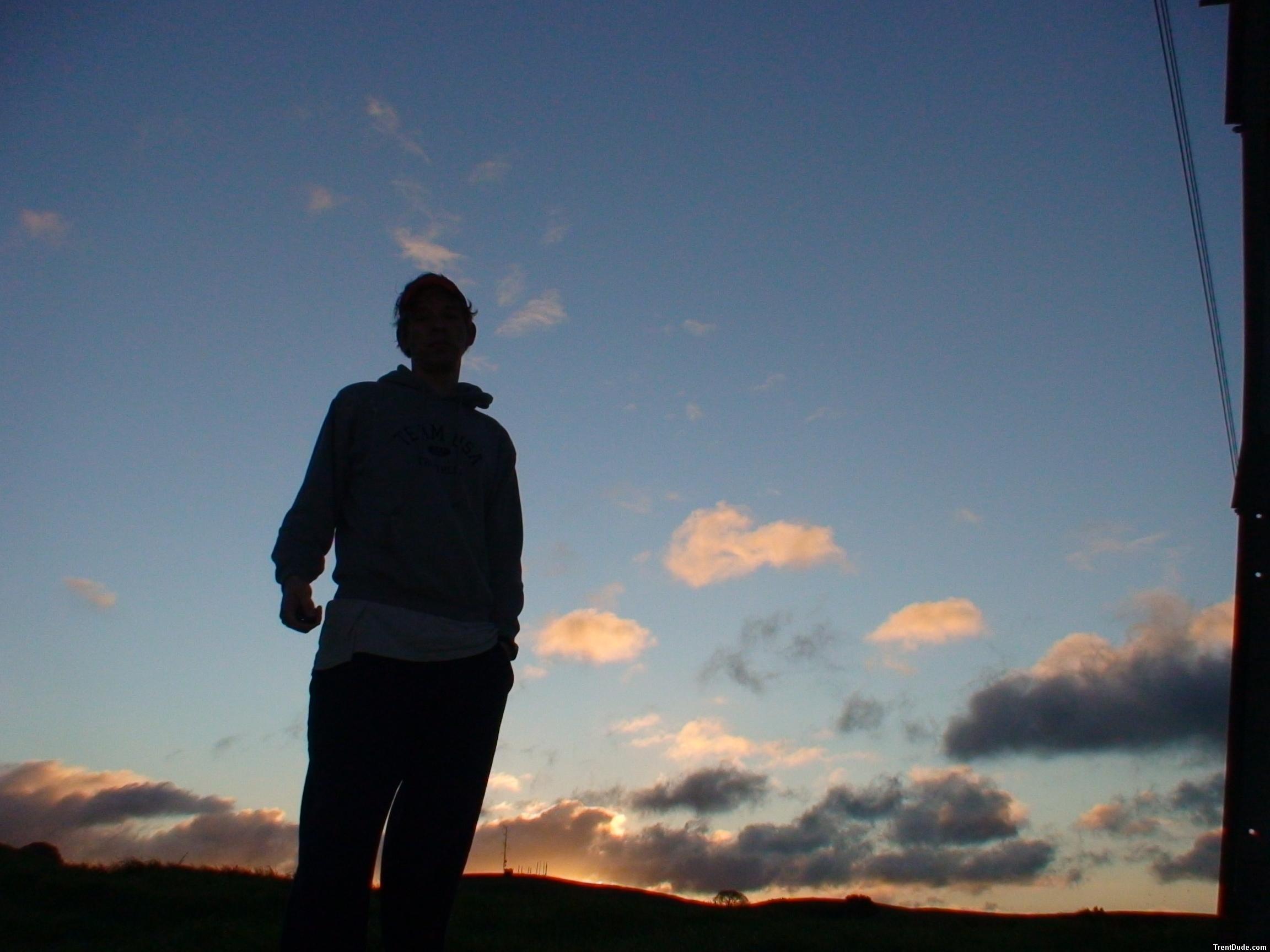 Trent silhouette a few mintues before sunrise