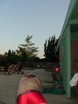 morning exercises in a Speedo Red Curve Line Square Leg Trunk