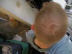 Trent short hair