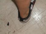 ankles