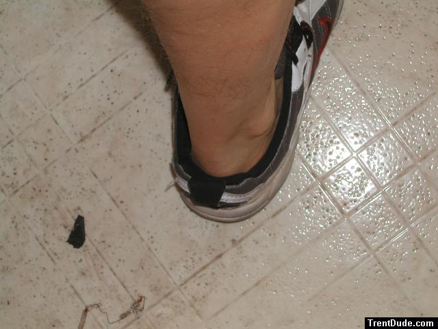 ankles