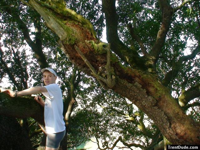 Climbing tha manzanita tree in grey boxer briefs