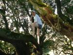 Climbing tha manzanita tree in grey boxer briefs