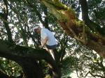 Climbing tha manzanita tree in grey boxer briefs
