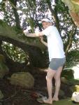 Climbing tha manzanita tree in grey boxer briefs