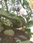 Climbing tha manzanita tree in grey boxer briefs