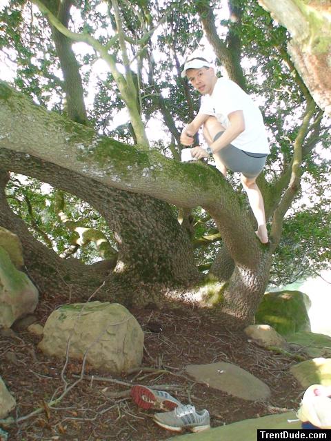 Climbing tha manzanita tree in grey boxer briefs