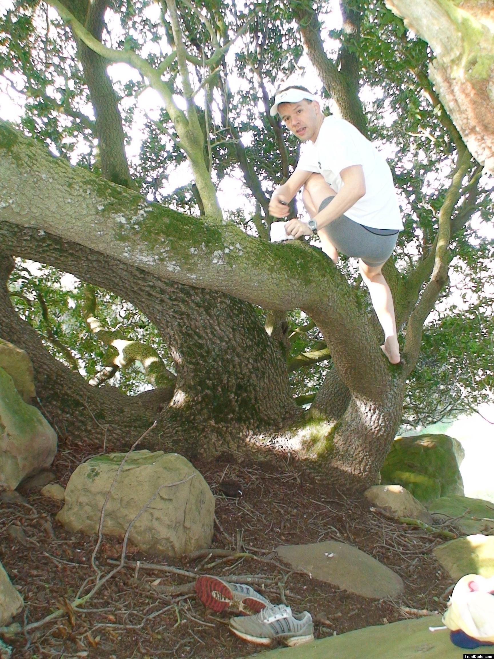 Climbing tha manzanita tree in grey boxer briefs