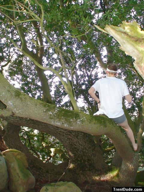 Climbing tha manzanita tree in grey boxer briefs