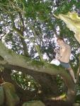 Climbing tha manzanita tree in grey boxer briefs