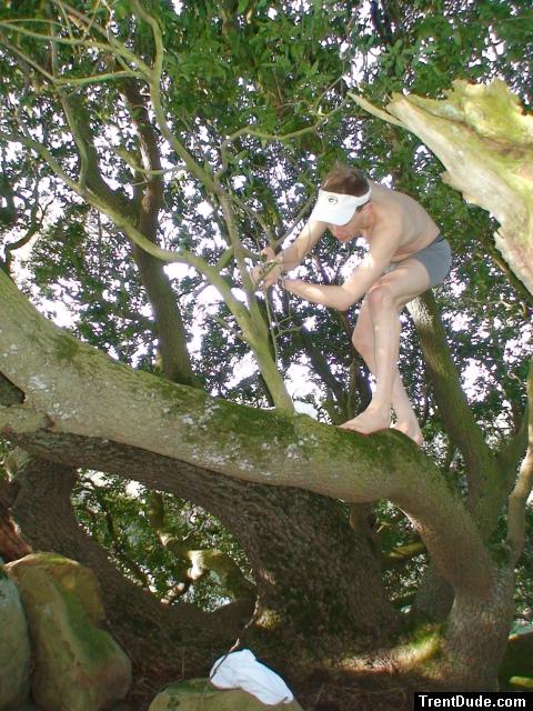 Climbing tha manzanita tree in grey boxer briefs