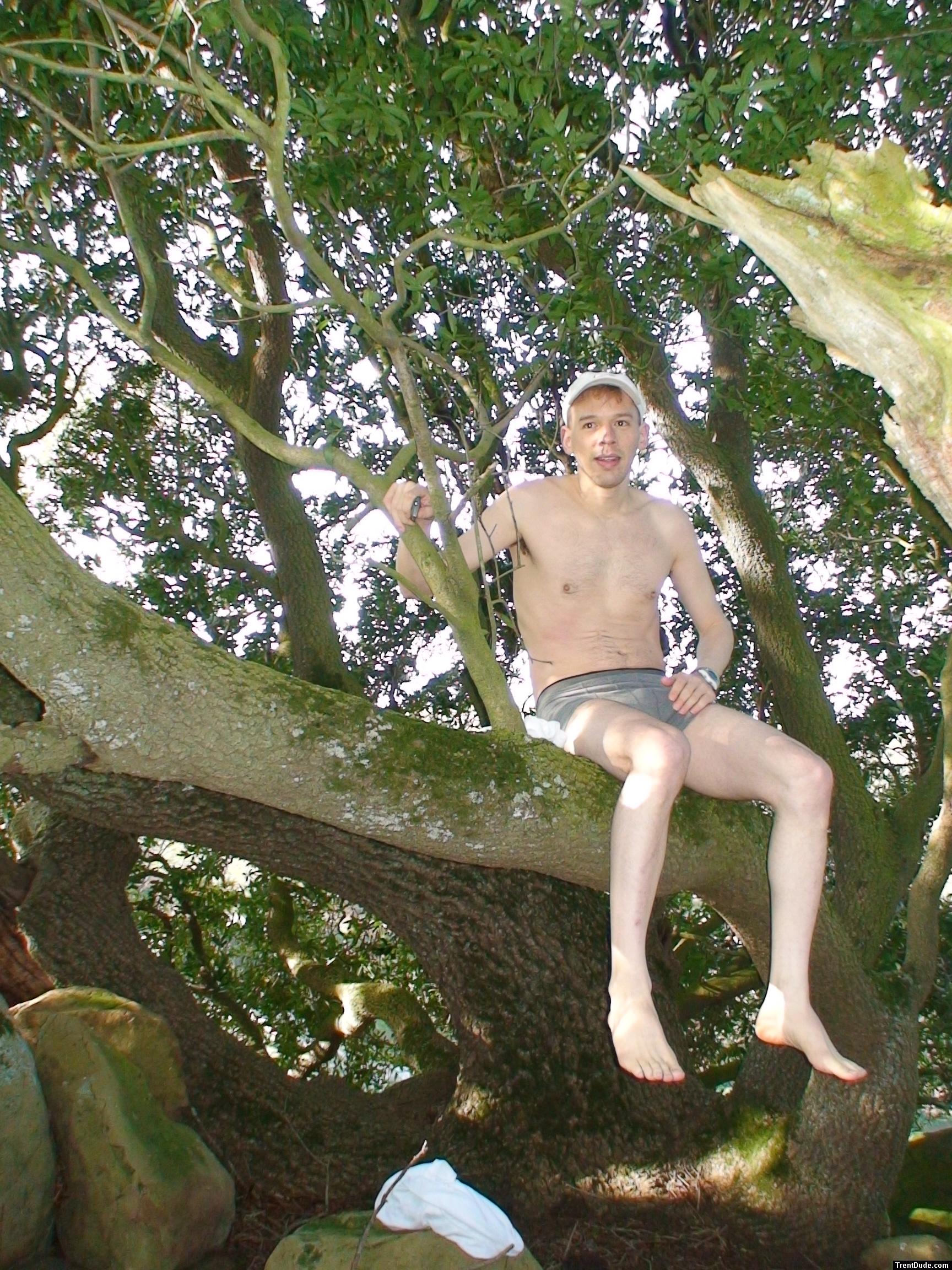 Climbing tha manzanita tree in grey boxer briefs