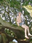 resting in the Manzanita tree