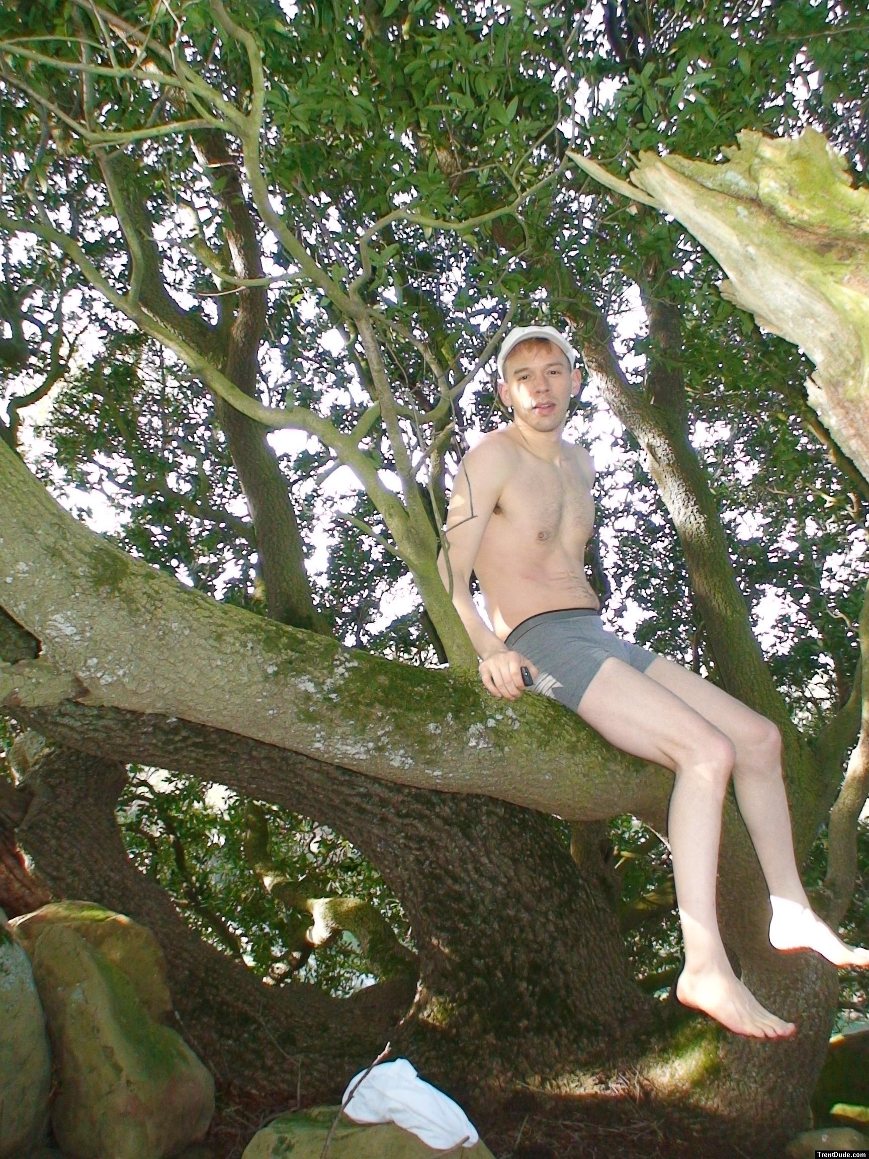 resting in the Manzanita tree