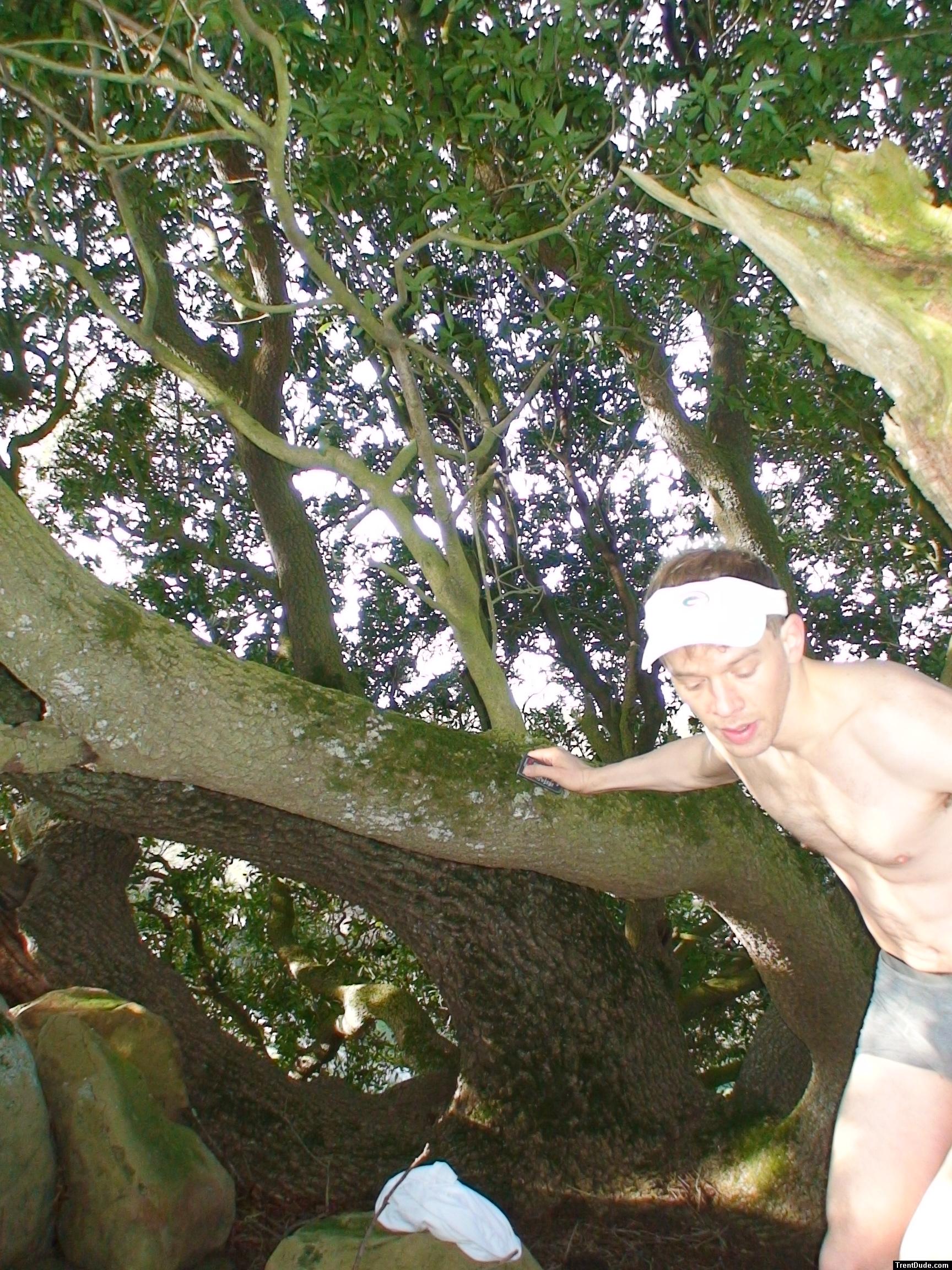 Grey boxer briefs and a tree
