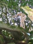 Being careful not to fall