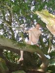 Hanging out in a tree