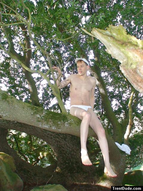 a trail to a tree branch