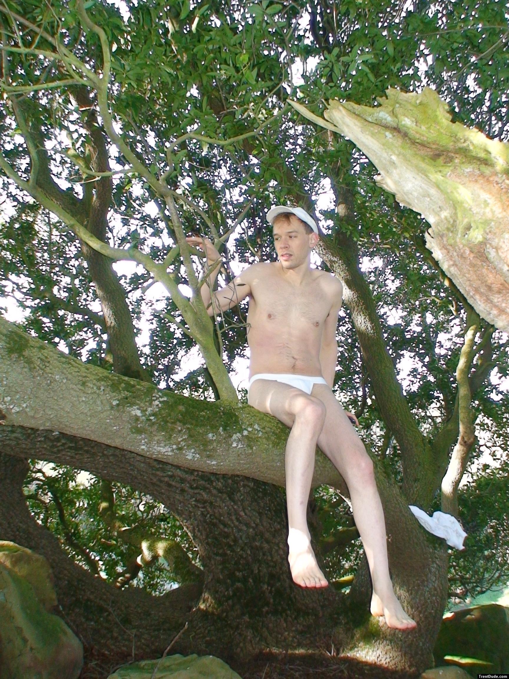 a trail to a tree branch