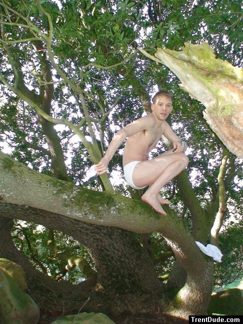 White Jockey Bikini brief underwear in a tree