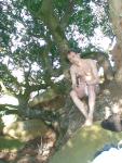 Sitting on a big tree
