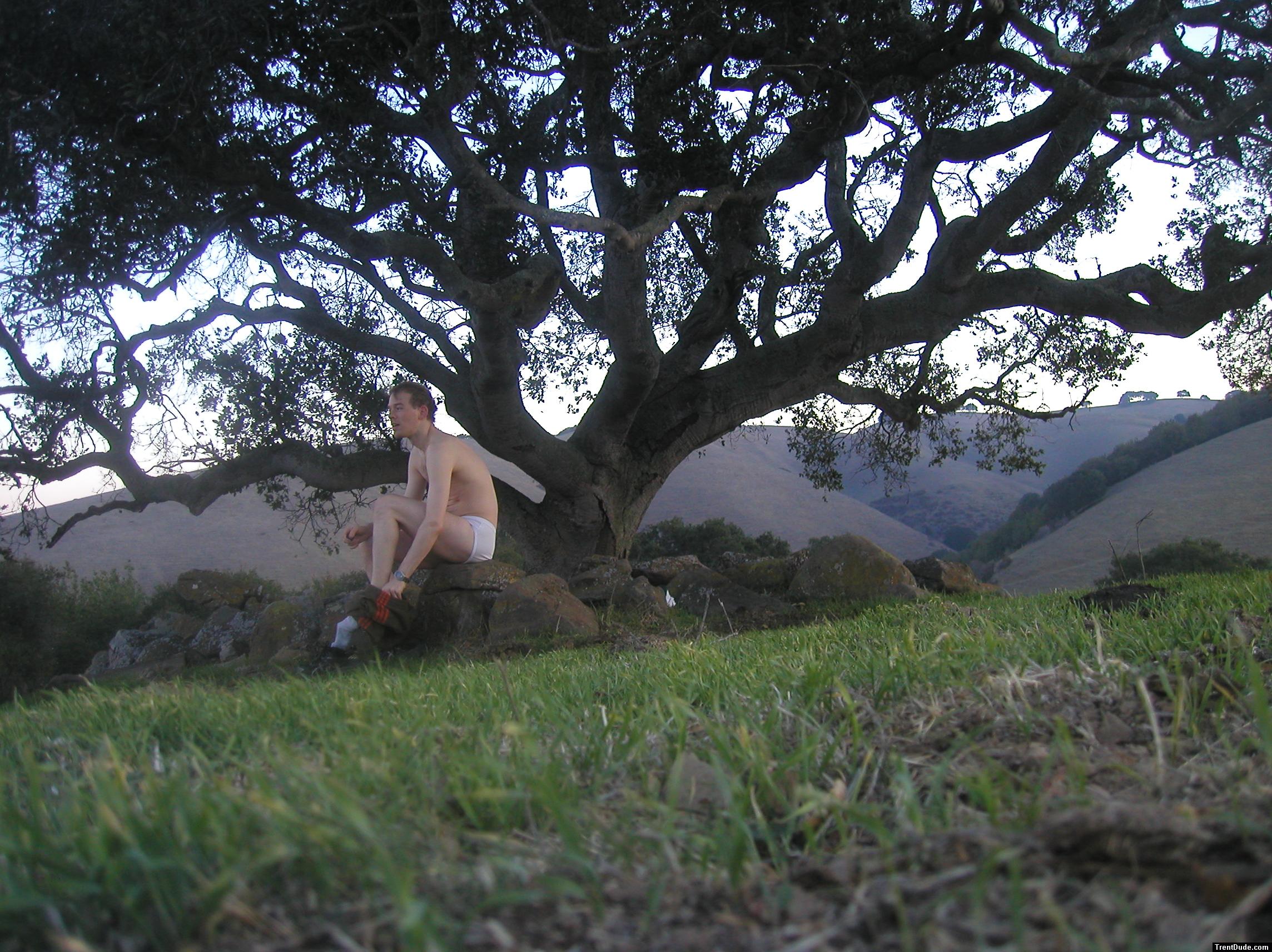 Undressing by a tree, Tommy Hilfiger underwear