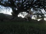 In tommy hilfiger underwear under a tree