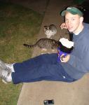 cats