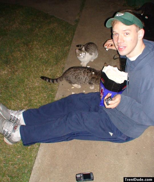 cats