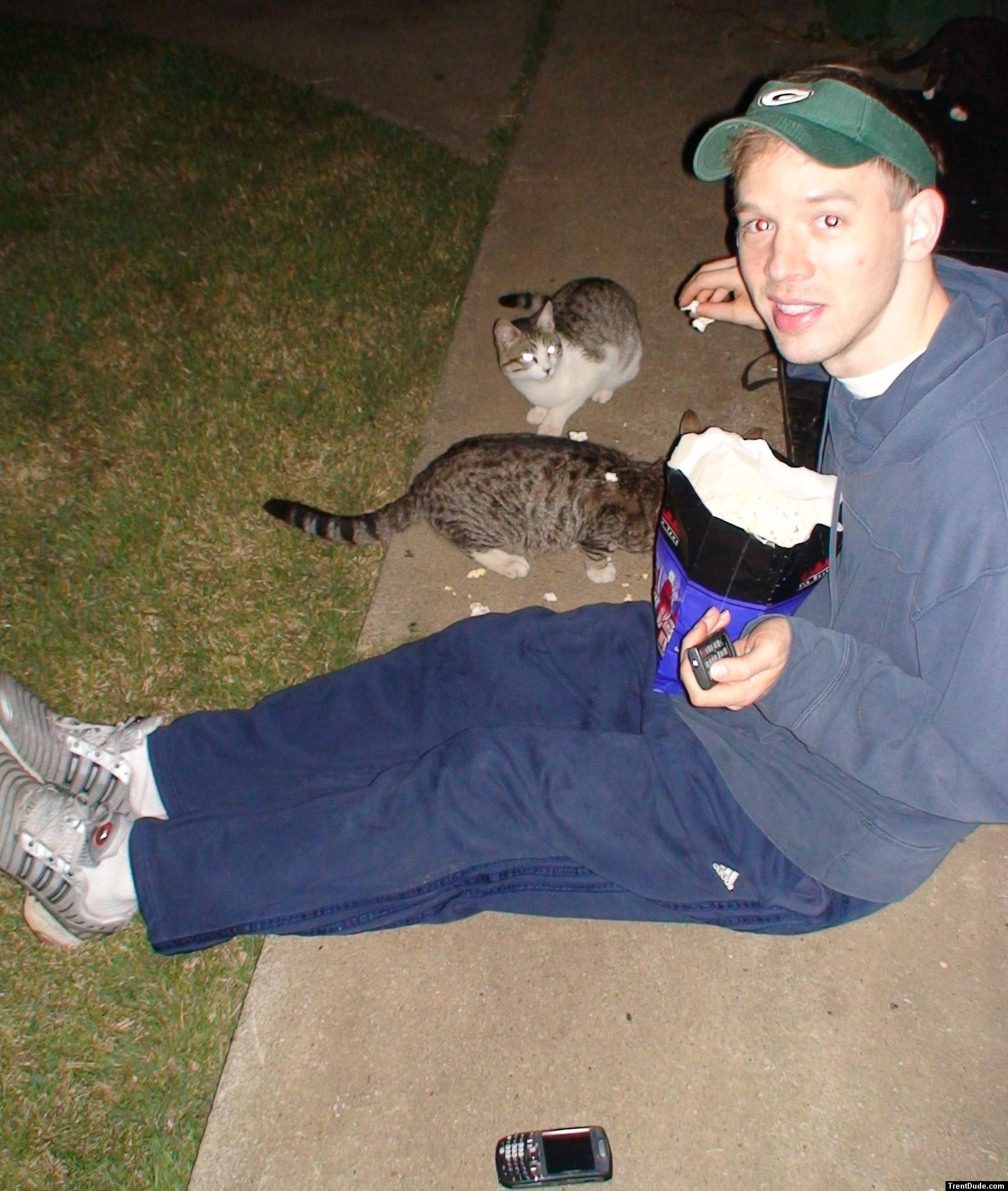 cats