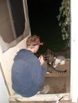 sitting with coons