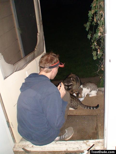 sitting with coons
