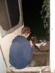sitting with raccoons at the door!