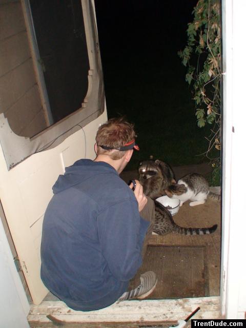 sitting with raccoons at the door!