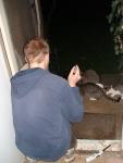 sitting with raccoons at the door and cats