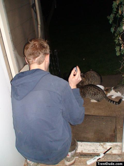 sitting with raccoons at the door and cats