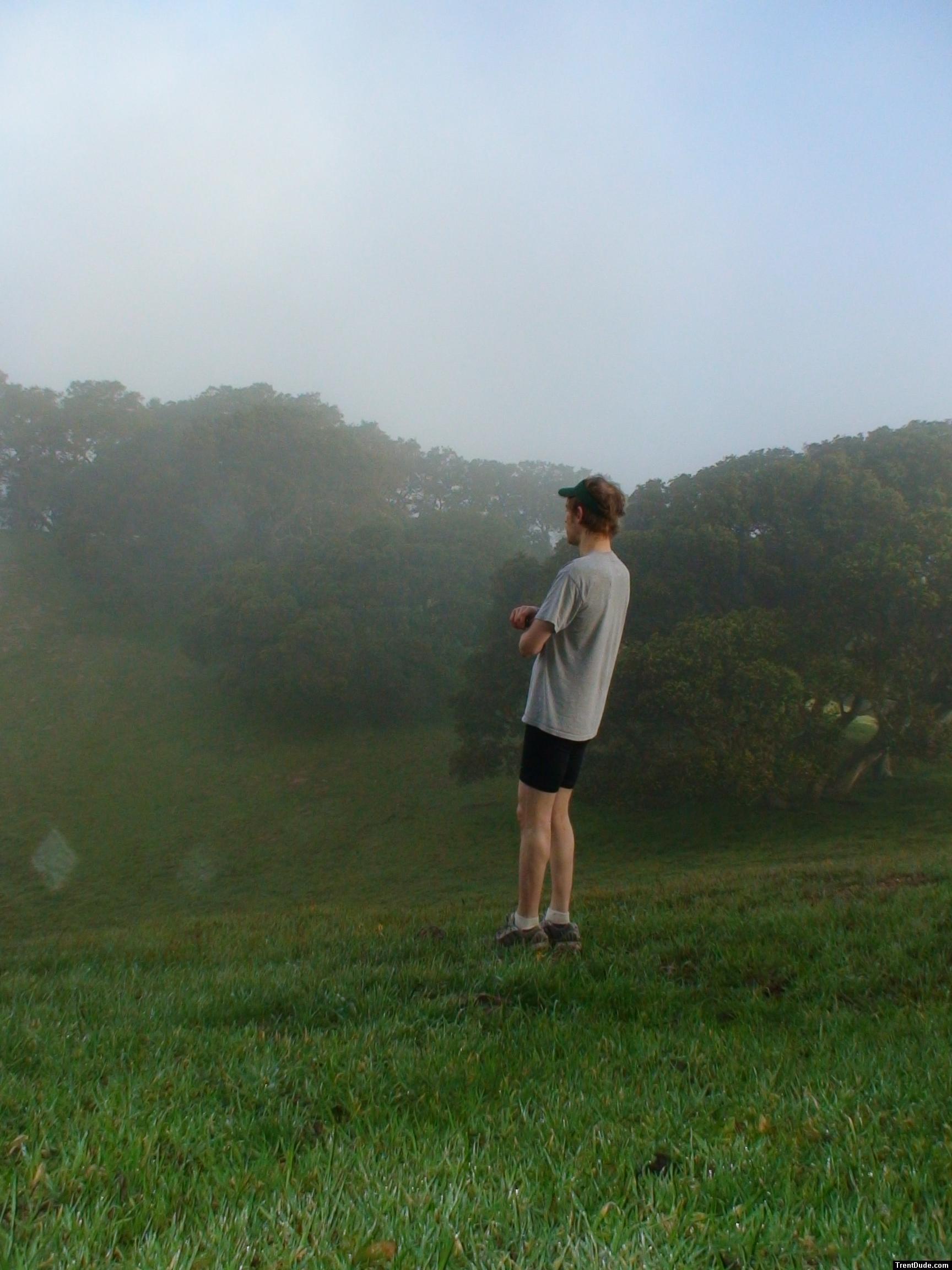 Nike compression shorts, legs