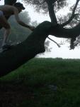 Climbing a tree in underwear