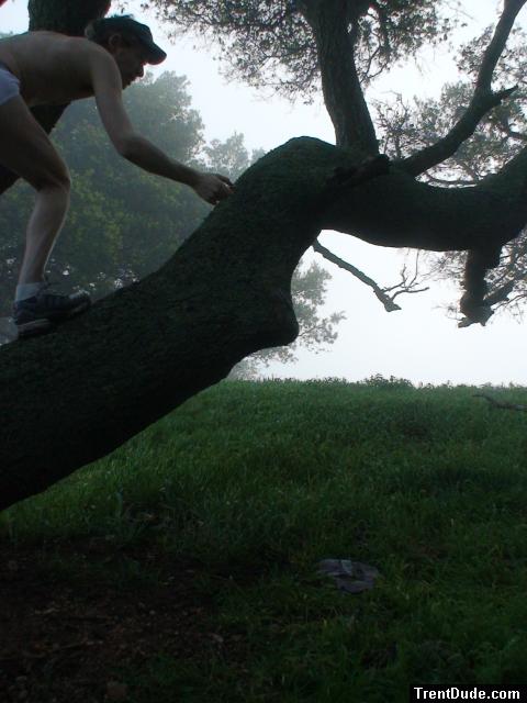 Climbing a tree in underwear